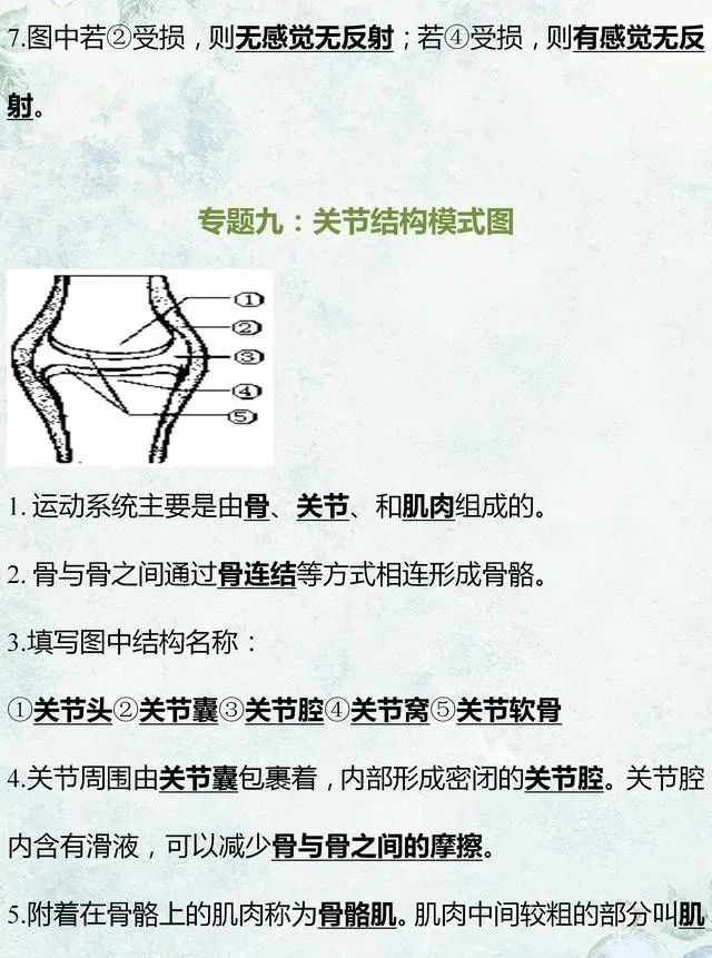 中考生物专题复习:识图作答专项练习,打印吃透,考试不丢分! 第15张