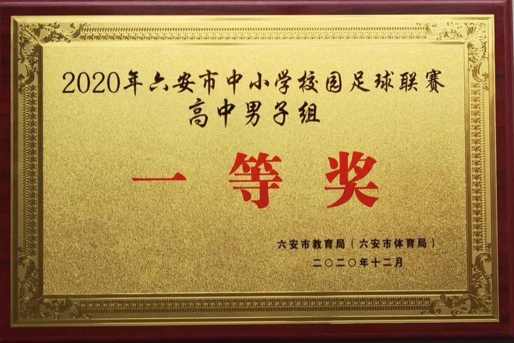 保驾护航 助力圆梦——我校2024年高考体检工作圆满完成 第41张