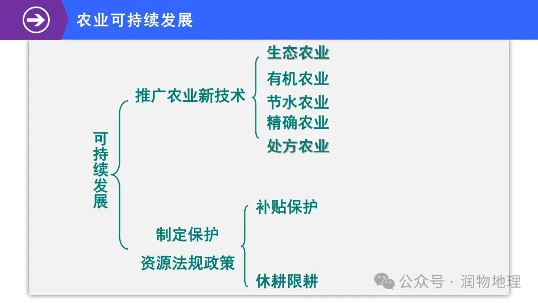 高考备考世界地理课件集(附知识点总结、综合测试卷) 第40张