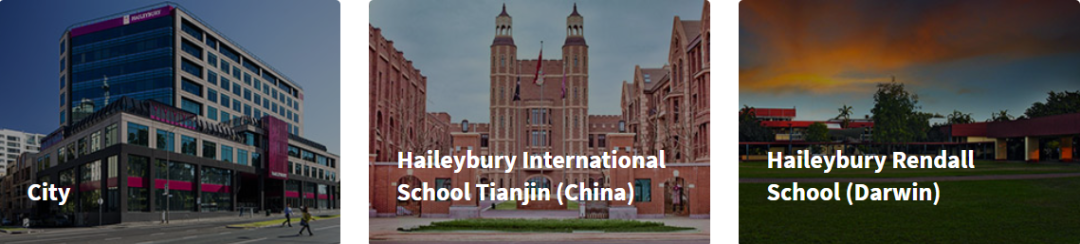 【2023高考佳绩汇总】Haileybury College 黑利伯瑞学院! 第6张