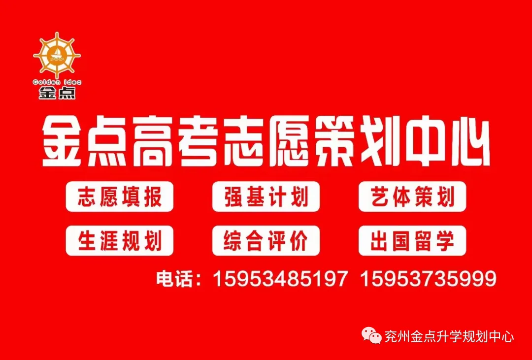 2024年山东各地市高考人数分布!附23年省内院校最低录取分数线! 第8张