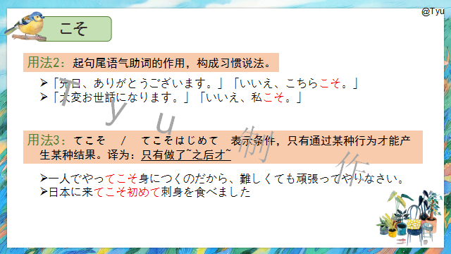 高考日语:高考日语副助词 课件(ほど、ぐらい、さえ、でも、ばかり等) 第8张