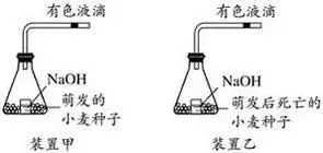 高考生物 | 生物学各类实验总结​,必备! 第28张