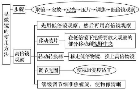 高考生物 | 生物学各类实验总结​,必备! 第2张