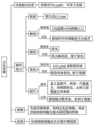 高考生物 | 生物学各类实验总结​,必备! 第33张