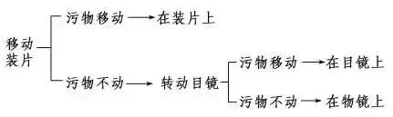 高考生物 | 生物学各类实验总结​,必备! 第3张