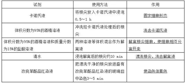 高考生物 | 生物学各类实验总结​,必备! 第41张