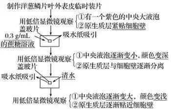 高考生物 | 生物学各类实验总结​,必备! 第12张