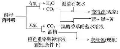 高考生物 | 生物学各类实验总结​,必备! 第24张