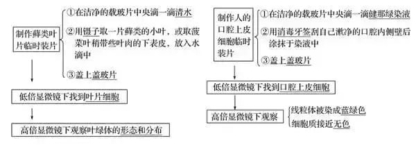 高考生物 | 生物学各类实验总结​,必备! 第10张
