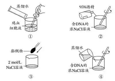 高考生物 | 生物学各类实验总结​,必备! 第48张