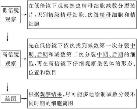 高考生物 | 生物学各类实验总结​,必备! 第35张