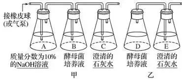 高考生物 | 生物学各类实验总结​,必备! 第25张