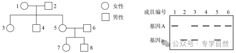 高考生物 | 遗传的基本规律、伴性遗传专题(近四年高考题) 第1张