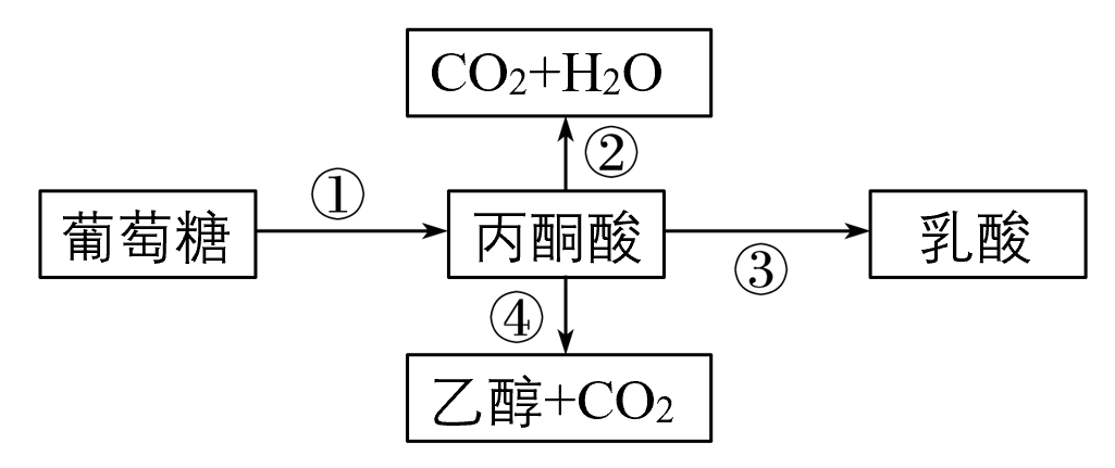 【高考真题】2011年海南卷生物试题 第1张