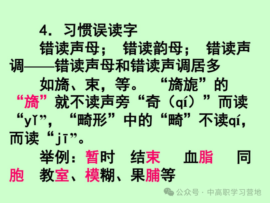 高考(含学考、3+证书)语文基础知识点总复习之一---字音 第16张