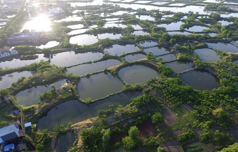 高考地理中的土壤盐碱化 第8张