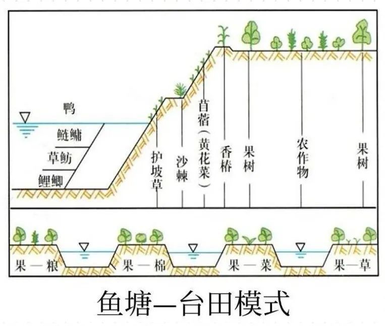 高考地理中的土壤盐碱化 第9张