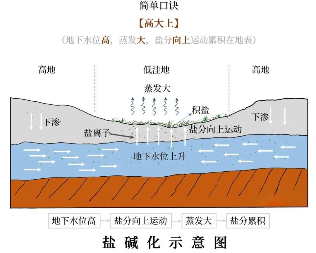 高考地理中的土壤盐碱化 第4张