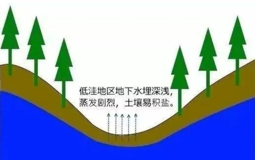 高考地理中的土壤盐碱化 第3张