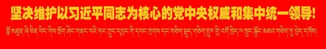 【高考动态】林芝市2024高考备考视导工作在林芝二高举行 第1张