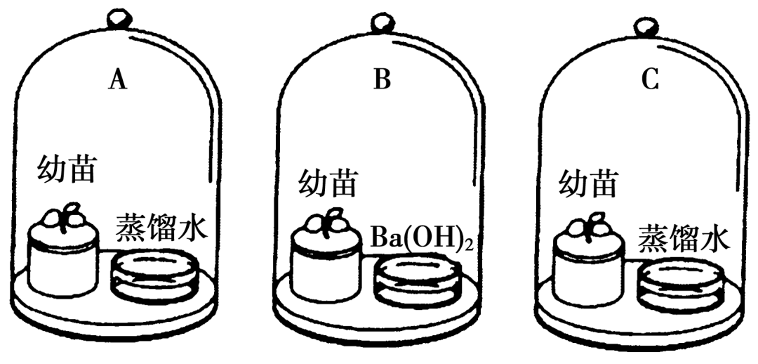 【高考真题】2011年海南卷生物试题 第3张