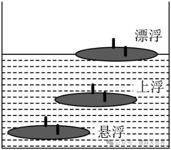 中考浮力选择题专训(49题) 第60张