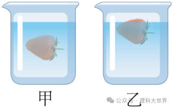 中考浮力选择题专训(49题) 第24张