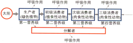 高考生物 :生物与环境(回归教材练) 第3张