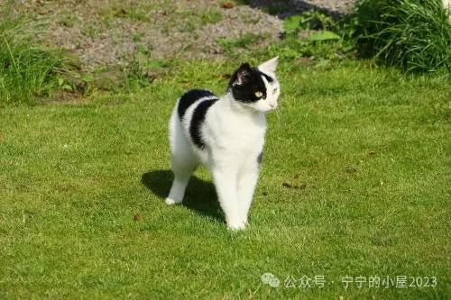 高考物理大神王春阳抖音成人自考物理培训力学上下电学高中物理 wpq 第2张