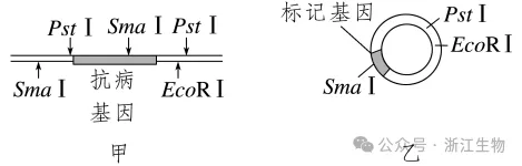 高考生物:如何快速找“题眼”解题突破! 第7张