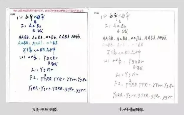 2024高考答题卡公布 第7张