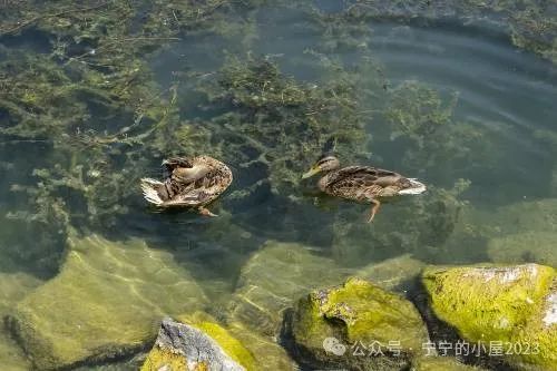 高考物理大神王春阳抖音成人自考物理培训力学上下电学高中物理 wpq 第4张