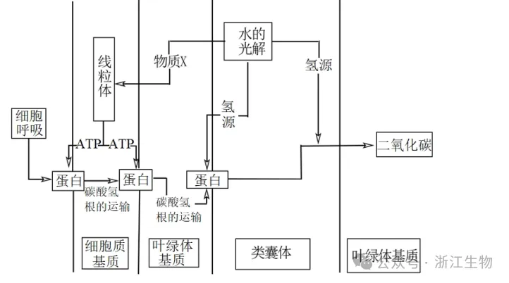 高考生物:如何快速找“题眼”解题突破! 第3张