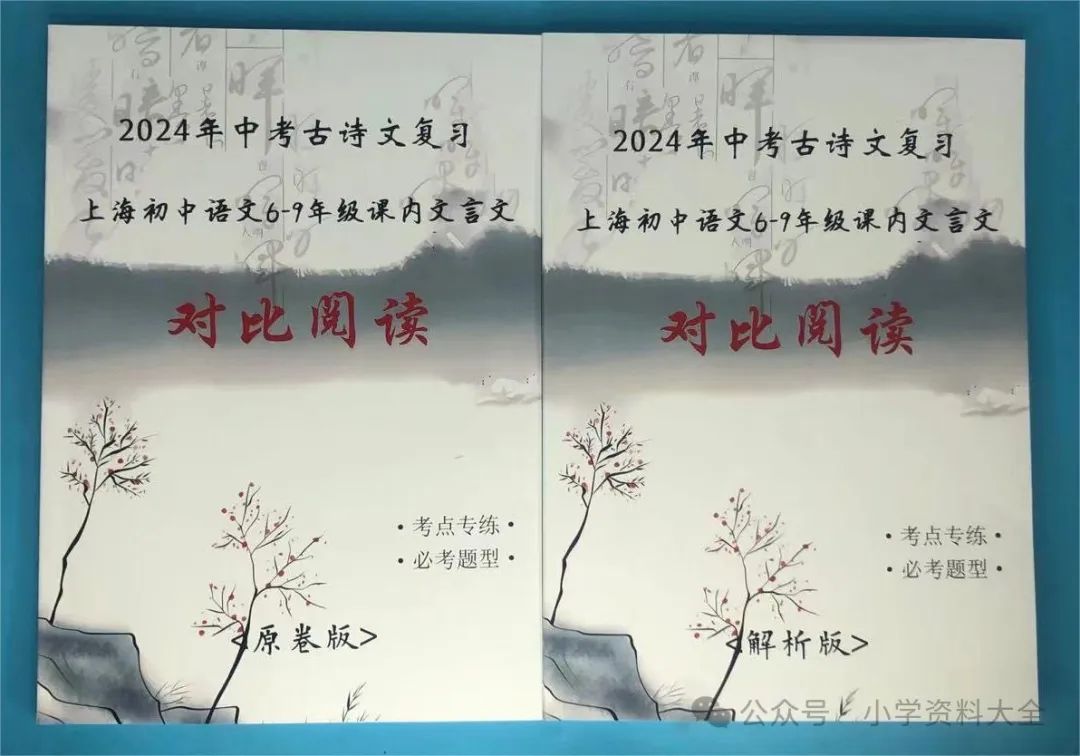 2024年中考古诗文复习-‎-⁢〈上海初中语文6-⁦9年级课内古诗文对比阅读-‪考点专练,⁥必考题型〉 第1张