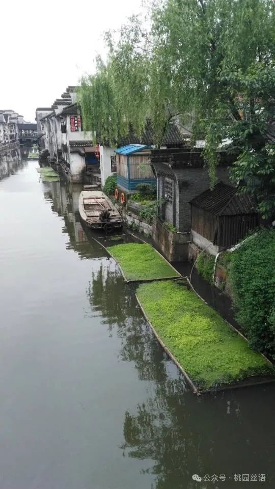 高考来了,在花开的季节——听,自己从容的脚步声 第1张