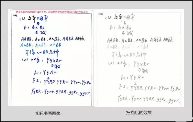 高考阅卷再次曝光,字迹潦草将无缘大学! 第8张