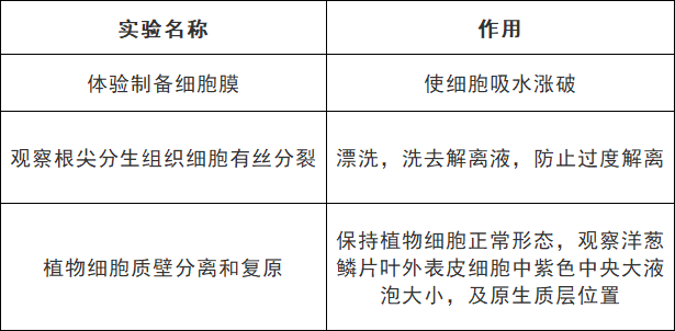 高考生物:9张表格帮你搞定颜色反应 第15张