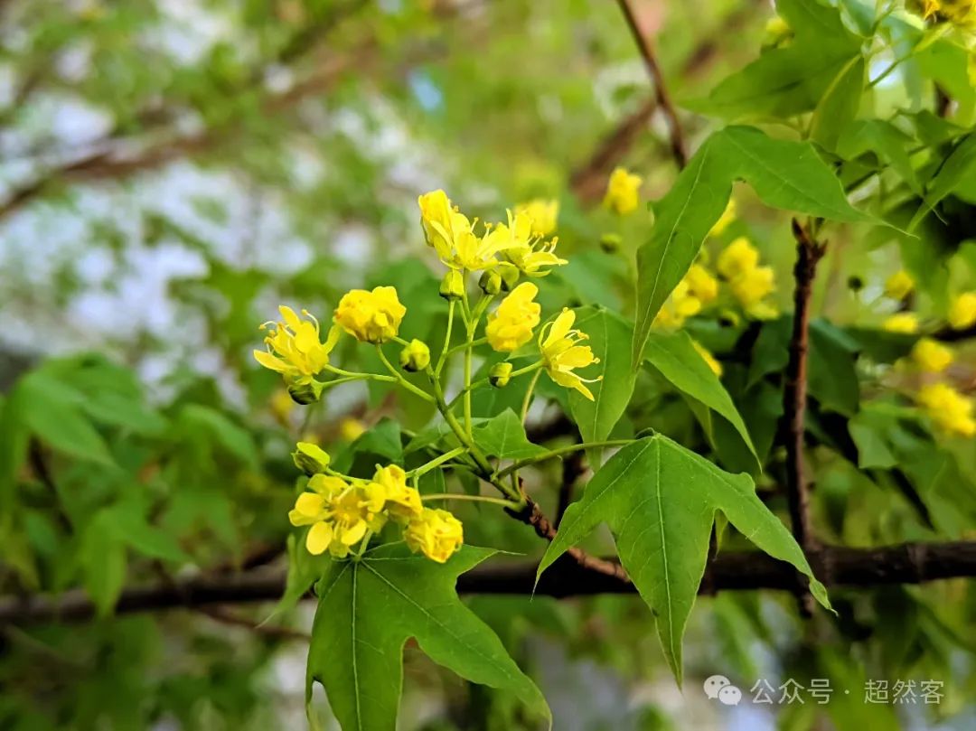 新高考背景下高二如何提质增效? 第2张