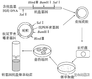 【高考备考】长句表达规范练 第19张