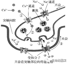 【高考备考】长句表达规范练 第6张