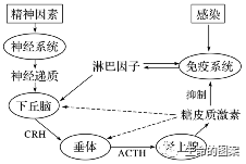 【高考备考】长句表达规范练 第9张