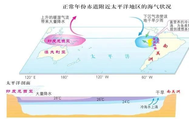 高考地理 | 厄尔尼诺及拉尼娜现象 第4张