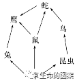 【高考备考】长句表达规范练 第16张