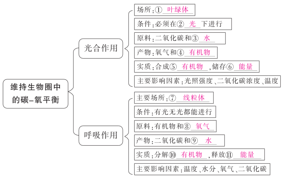 中考魔方丨生物·绿色植物的光合作用和呼吸作用 第3张