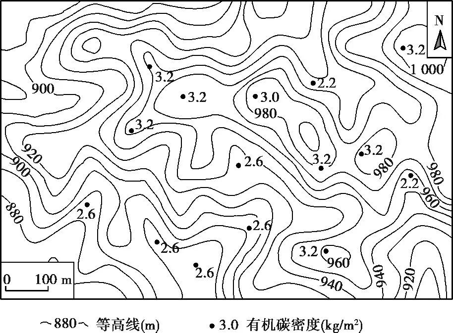 2024高考专题 环境与国家安全 五年高考 第8张