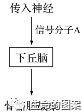 【高考备考】长句表达规范练 第5张