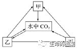 【高考备考】长句表达规范练 第18张