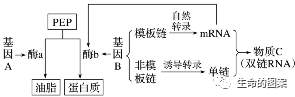 【高考备考】长句表达规范练 第4张