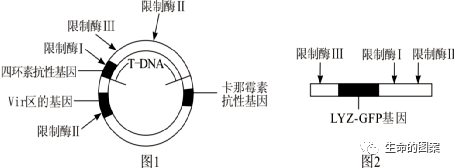 【高考备考】长句表达规范练 第21张